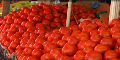 &quot;Fluturon&quot; domatja në tregje, 1 kg kushton deri në 170 lekë