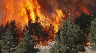 Zjarret në Fushë-Arrëz, ndërpritet energjia elektrike në disa zona