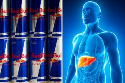 Video/ Shikoni çfarë i bën trupit tuaj vetëm një kanaçe Red Bull