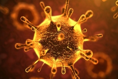 ISHP: Simptomat e njeriut të infektuar me koronavirus