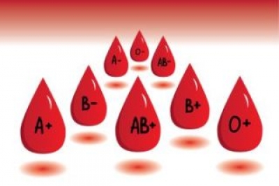 Gjithçka që duhet të dini për grupin tuaj të gjakut
