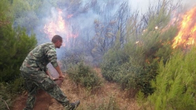 Flakët marrin kontrollin, arrin në 7 hektarë sipërfaqja e djegur në pyllin e Semanit