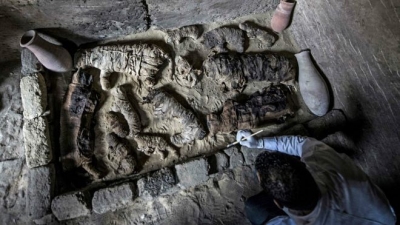 Fotot/Dhjetëra mumie macesh e brumbujsh gjenden në varret 6,000-vjeçare në Egjipt