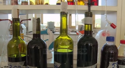 Pini verë “shtëpie” në lokalet shqiptare? Kujdes, shumë prej tyre janë të helmuara