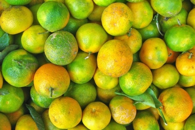 Të mirat shëndetësore që sjellin mandarinat e gjelbra