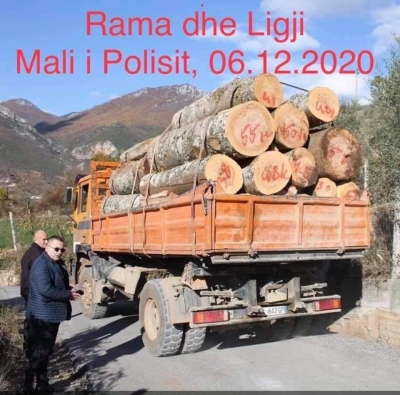 Berisha/Moratoriumi per prerjen e pyjeve eshte per qytetaret jo per bandat e hajduteve Rama-Balla.