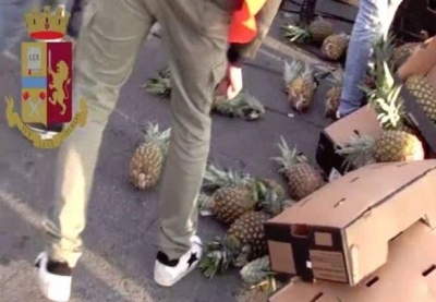 Kokainë mes ananasëve në Itali, 221 kg e sekuestruar, në pranga edhe një shqiptar
