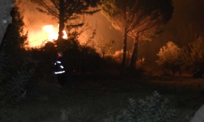 Zjarre në Lezhë. Flakët rrezikojnë bizneset në Kolsh