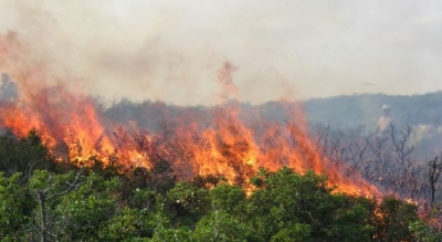 Zjarr në Velipojë, në rrezik zona e mbrojtur