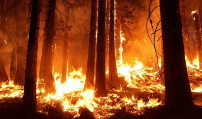 Zjarret djegin Siberinë, 3 milionë hektarë nën flakë