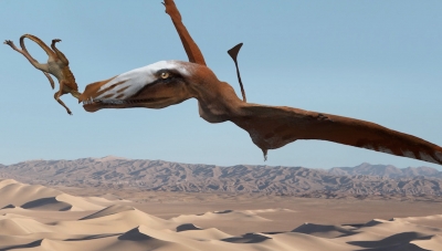 Prezantohet një kafshë e re prehistorike; një pterosaur gjigand