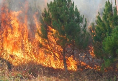 Zjarr gjigand në Lurë, kërkohet ndërhyrja e helikopterit