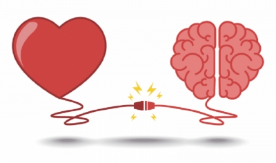 Cili është organi më i rëndësishëm, truri apo zemra?