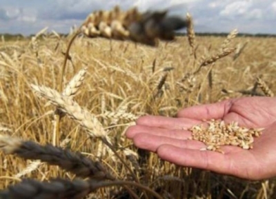 BB: Shqipëria do goditet nga kriza e çmimeve të drithërave dhe energjisë