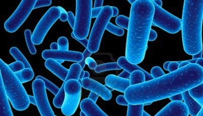 Studimi/ Antibiotikët po humbasin fuqinë, bakteret gjithnjë e më rezistente
