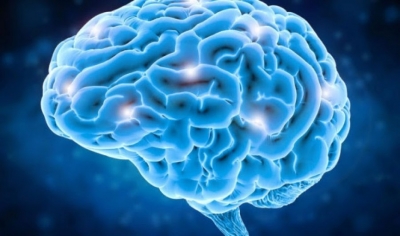 Efekti i gjumit në shkaktimin e sulmit në tru