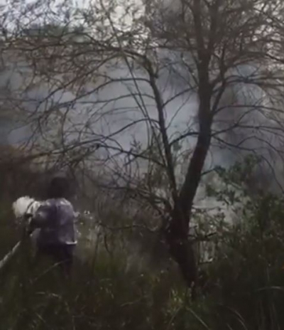 Zjarri në pyllin e Semanit/ Janë djegur 2 hektarë pisha, flakët vazhdojnë të përhapen