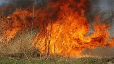 Nga Berati, shkon e i djeg kullotën bariut në Konispol