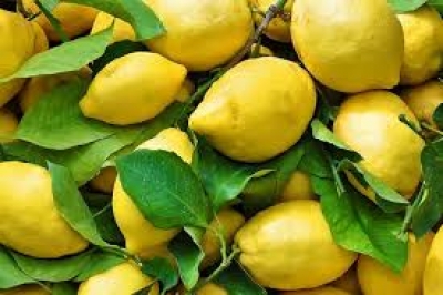 Limoni, magjia e shërimit të sëmundjeve