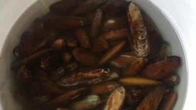 Inspektorati i Peshkimit gjobit 10 milionë lekë restorantin në Ksamil, u gjet duke tregtuar “Dater”