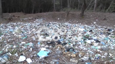 Pylli në Vlorë që është kthyer në një hambar mbeturinash