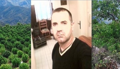 Flet kunati i Alket Muhos: E vranë pasi telefonoi në SHÇBA, policia darkoi me kultivuesit e drogës