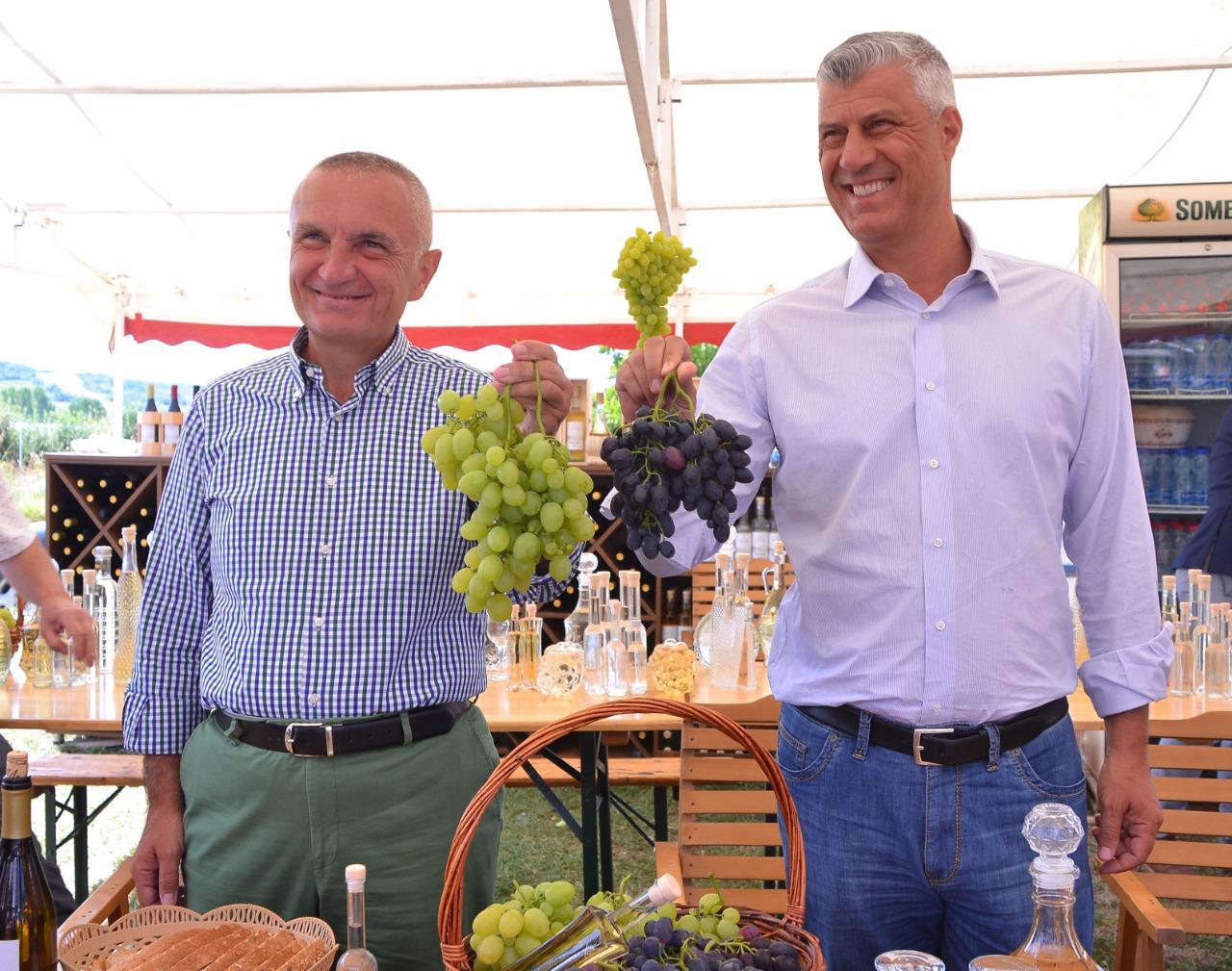 meta-thaci.jpeg