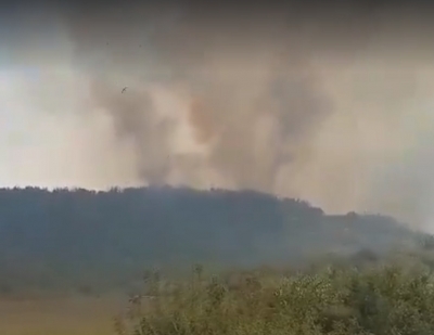 VIDEO/ Berisha: Zjarr në ullishtat e Zhupanit, narkoshteti bën sehir