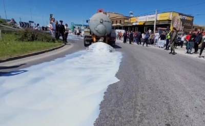 Partia Demokratike në mbështetje të plotë të protestës së blegtorëve