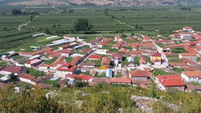 Mançurishti, fshati i mollëve