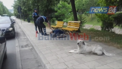 I moshuari i shtrirë në mes të rrugës, qeni i shpëton jetën (video)