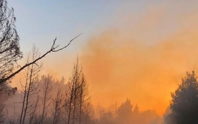Greqi, zjarr i madh në pyjet e Halkidikisë