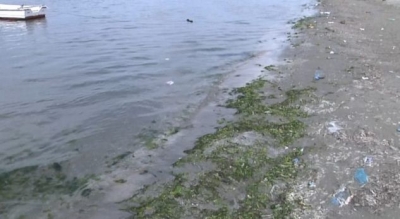 Plazhet e Vlorës të ndotura nga ujërat e zeza dhe plehrat