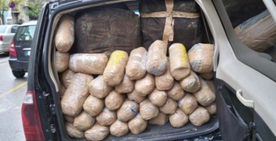 Kanabisi s&#039;ka të ndalur në Shqipëri, sekuestrohen 750 kilogramë