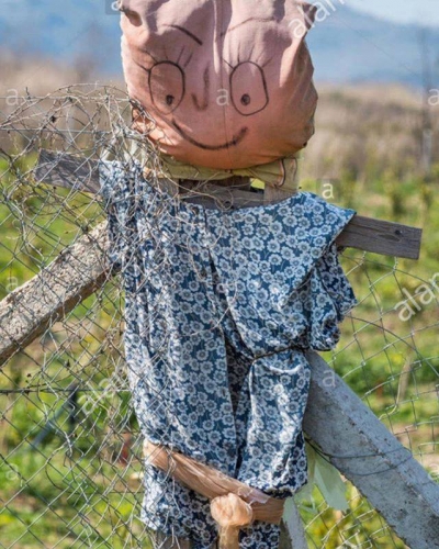 Nard Ndoka apel Ramës: Largohu sëbashku me vapën në gusht, në shtator...