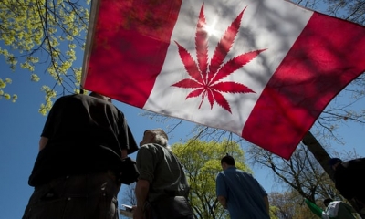 Kanadaja, vendi i parë i G7 drejt legalizimit të marijuanës