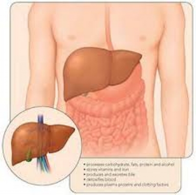 Sëmundja e mëlçisë, çfarë nuk dinit për Hepatitin C