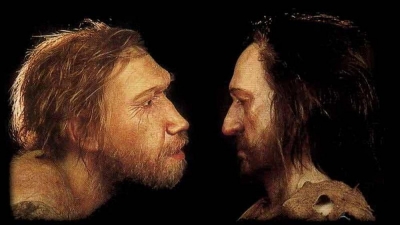 Shkencëtarët kanë krijuar ‘mini-trurin’ duke përdorur ADN-në e Neandertalit