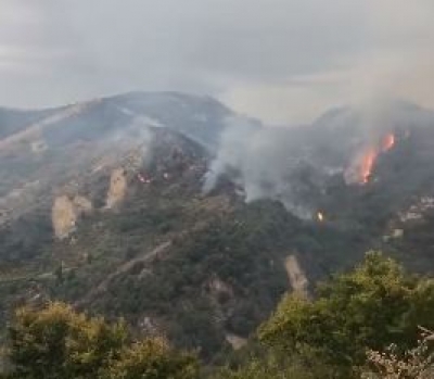 Lajmi i fundit/ Zjarr masiv në Vorë, era përhap flakët