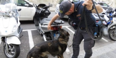 Tregtari shqiptar i drogës dëbohet nga Italia