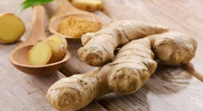 Xhenxhefilin, erëza që lufton sëmundjet