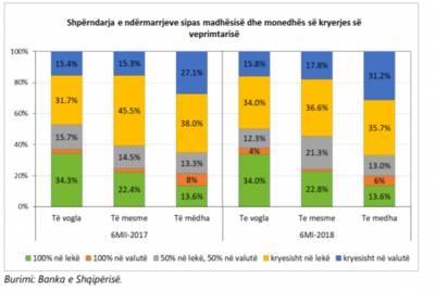 Hyn euro me shumicë; Bizneset rriten më tej përdorimin e valutës në transaksionet e tyre më 2018