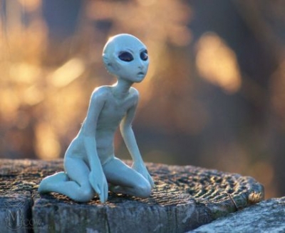 Biologia “shokon” botën: Ja faktet që jemi hibridë të alienëve