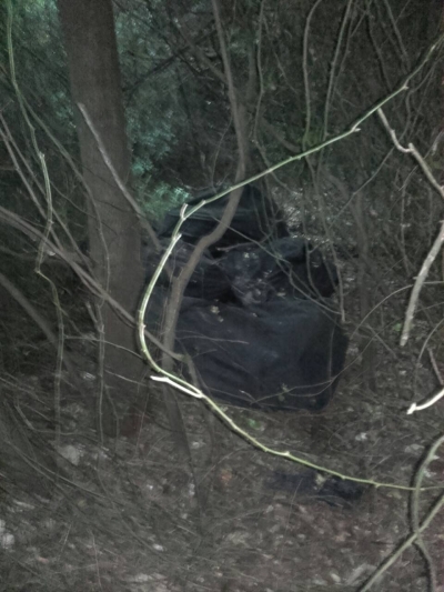 Policia shqiptare në gjumë, droga kapet në Greqi