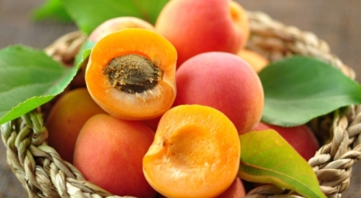 Kajsia, fruti i verës që pastron gjakun dhe mëlçinë
