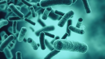Zbulohen antibiotikë në trupin e njeriut