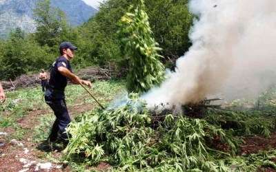 Drogë në Përmet, ndalohen 4 persona