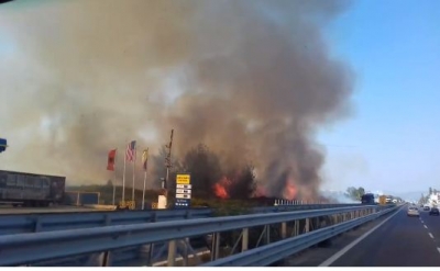Video/ Zjarr gjigand pranë një pike karburanti në Laç