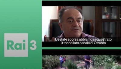 ‘Narcotica’ në Rai3/ Ja kur shfaqet dokumentari italian që do trondisë qeverinë Rama