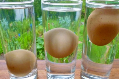 Video/Si të dalloni freskinë e vezëve – Ndiqeni këtu